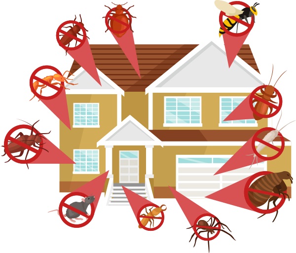 Affordable Exterminating Services for Pest Control in Knoxville, AL